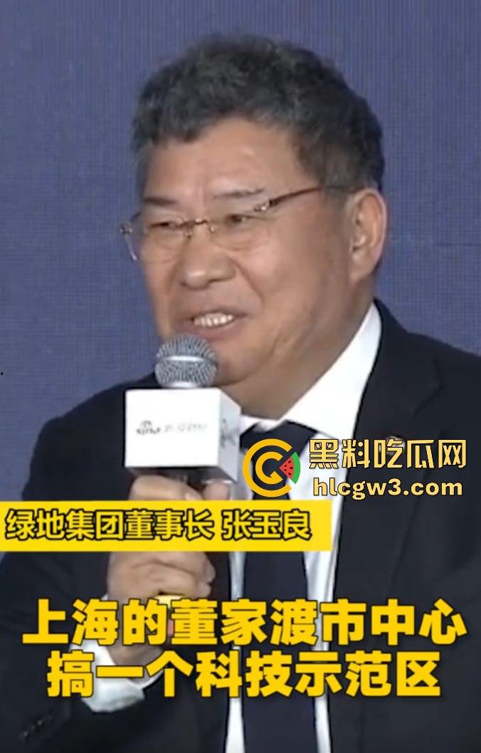 65岁绿地董事长『张玉良』KTV裸嗨，鸡巴细得像牙签骚女争抢舔，酒店女秘书被老头干到腿软精液满脸！  第15张