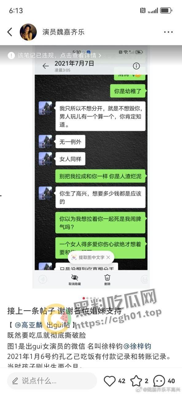 家有儿女【夏东海】出轨！扮演者【高亚麟】被妻子实锤出轨家暴  未删减实锤证据流出 第10张