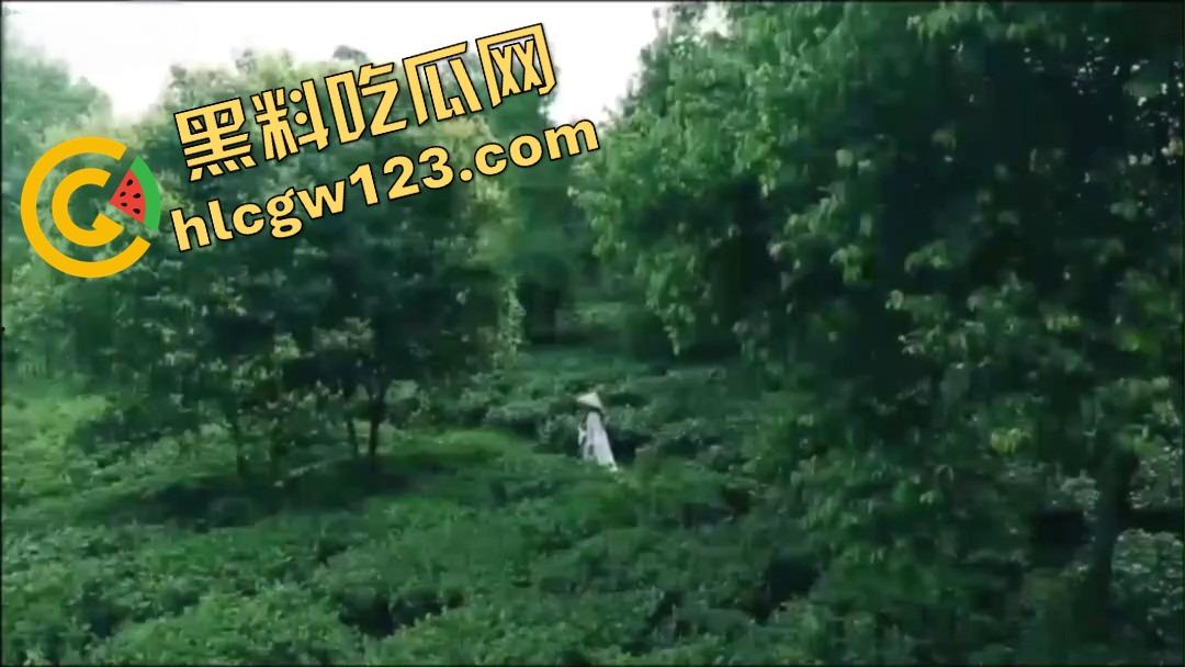 纯正奶茶现采现挤?真奶福建嫩茶打底,鲜得直流奶!那你喝的霸王茶姬,是工业冲泡的制服打工婊! 第1张 纯正奶茶现采现挤?真奶福建嫩茶打底,鲜得直流奶!那你喝的霸王茶姬,是工业冲泡的制服打工婊! 第1张