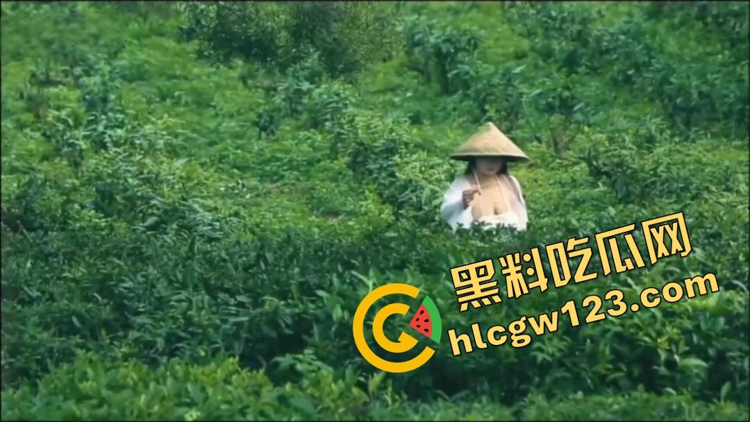 纯正奶茶现采现挤?真奶福建嫩茶打底,鲜得直流奶!那你喝的霸王茶姬,是工业冲泡的制服打工婊! 第3张 纯正奶茶现采现挤?真奶福建嫩茶打底,鲜得直流奶!那你喝的霸王茶姬,是工业冲泡的制服打工婊! 第3张