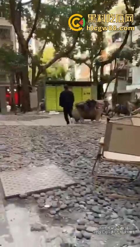 打入成都GAY圈,熊猪文化震碎三观,胖熊陪床8000块,花钱买个肉山压床?到底是什么口味? 第5张 打入成都GAY圈,熊猪文化震碎三观,胖熊陪床8000块,花钱买个肉山压床?到底是什么口味? 第5张