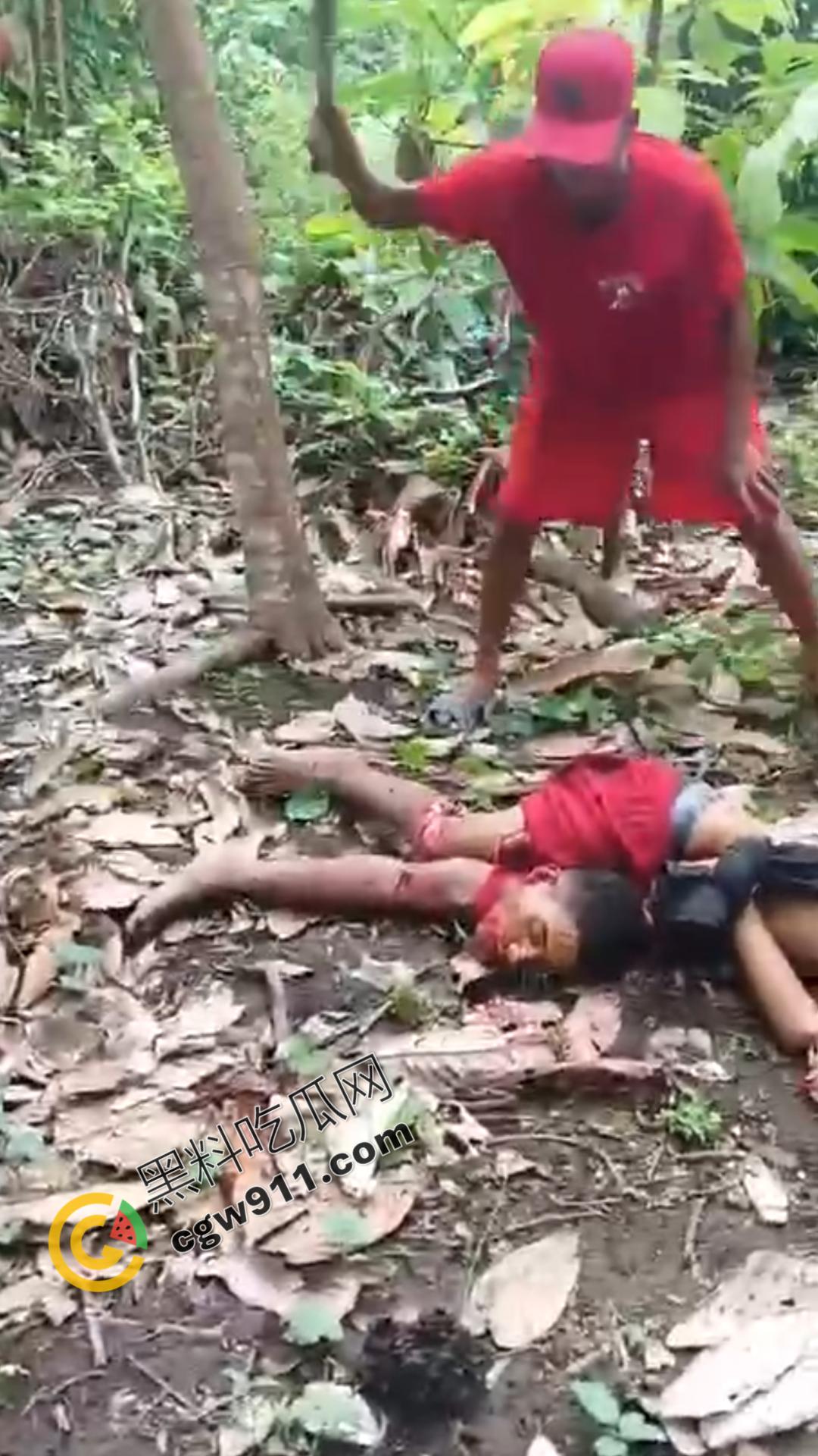 墨西哥毒枭残暴行径：年轻帮派成员遭野外肢解处决，鲜血四溅，画面极度血腥恶心，胆小者勿点  第6张