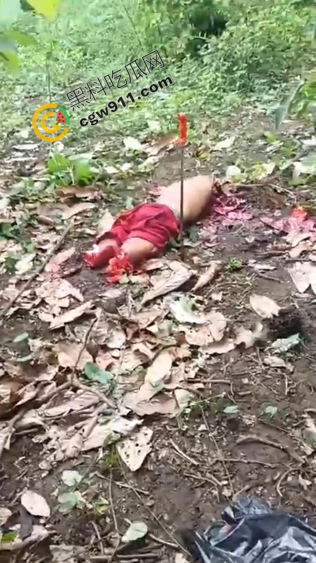 墨西哥毒枭残暴行径：年轻帮派成员遭野外肢解处决，鲜血四溅，画面极度血腥恶心，胆小者勿点  第9张