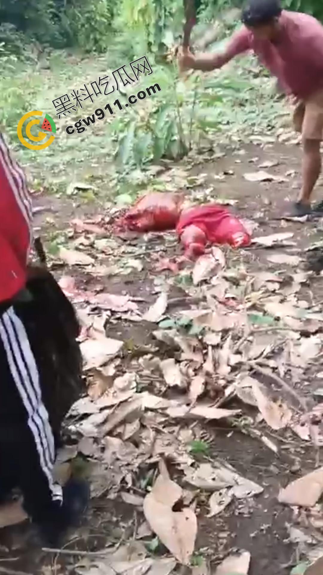 墨西哥毒枭残暴行径：年轻帮派成员遭野外肢解处决，鲜血四溅，画面极度血腥恶心，胆小者勿点  第10张