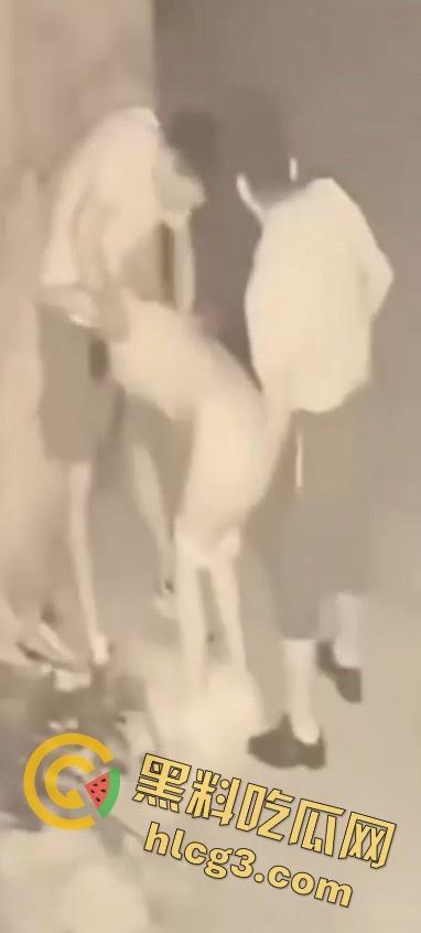 山东师范大学美女学生『薛菲』街头醉酒后被两人拉至路边强奸  被两男子插嘴后入 第10张