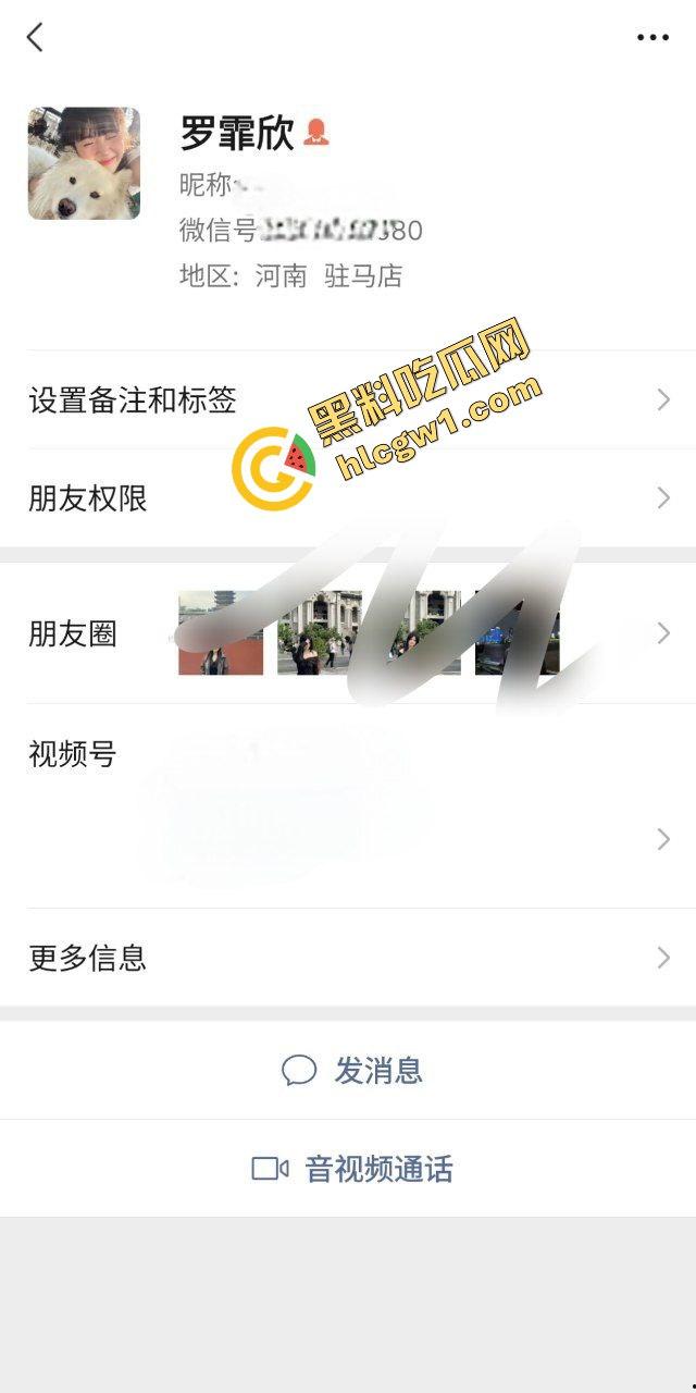 河南驻马店闷骚骚鸡『罗霏欣』大哥的胯下母狗兼炮友 骚到没边 独家曝光！  第1张