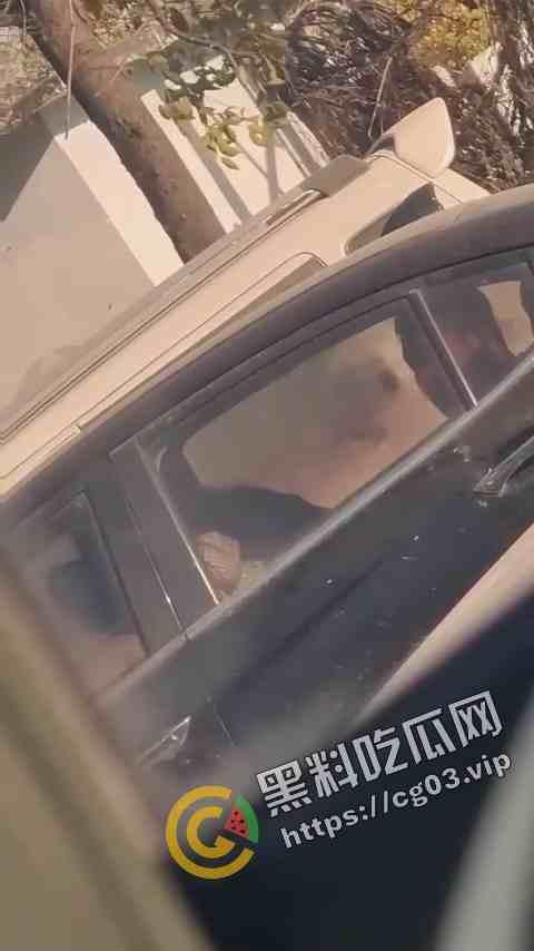 梁山上大分！梁山龙城广场古茗店内当众口交 随后去车中车震 是寻求刺激还是房都开不起  第5张