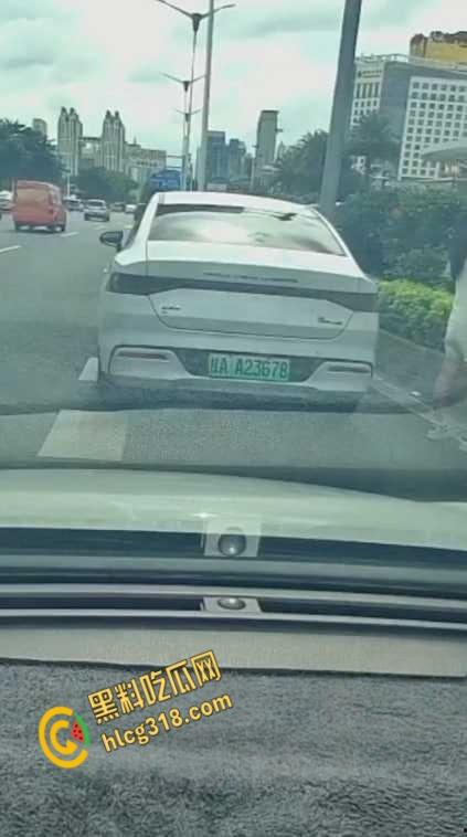 广西南宁街边桂A23678，车上女子下车蹲在马路上，脱掉连衣裙就开始拉！  第1张