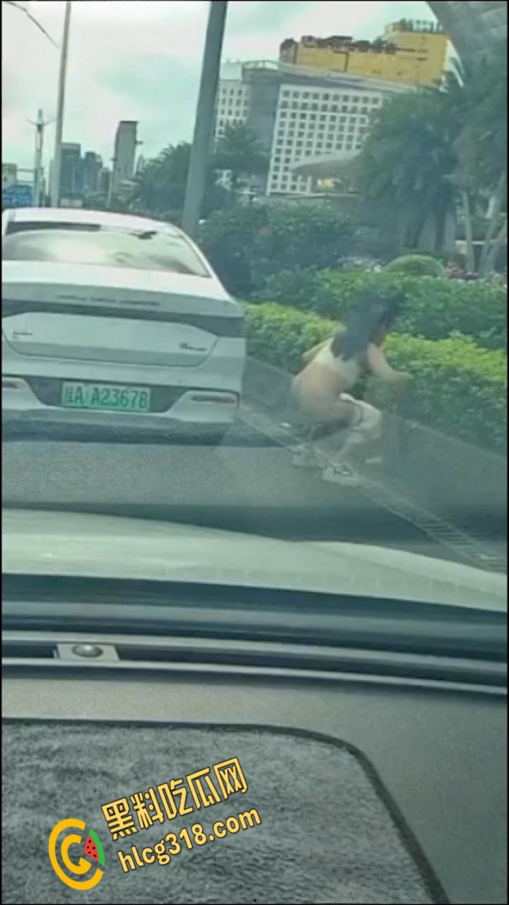 广西南宁街边桂A23678，车上女子下车蹲在马路上，脱掉连衣裙就开始拉！  第6张