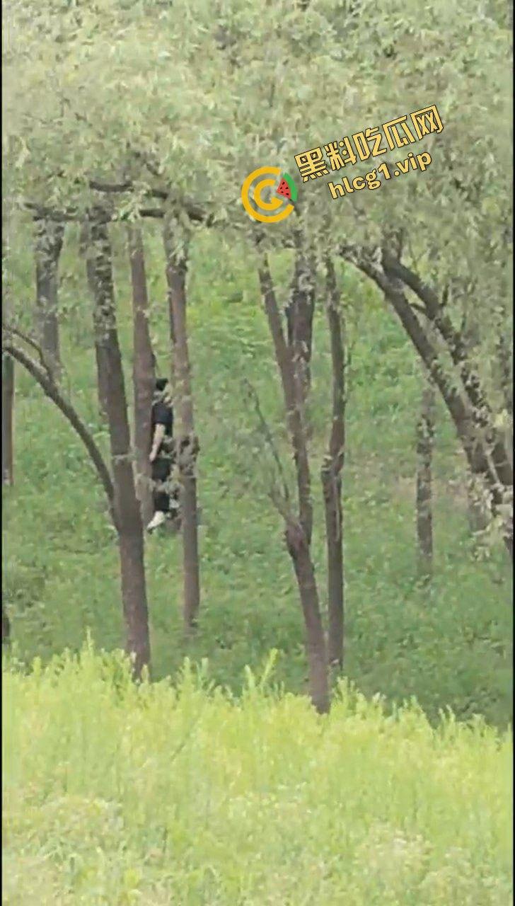 河南台前县 抑郁症女子树林上吊自缢！被路人发现并报警 全程拍摄！  第3张