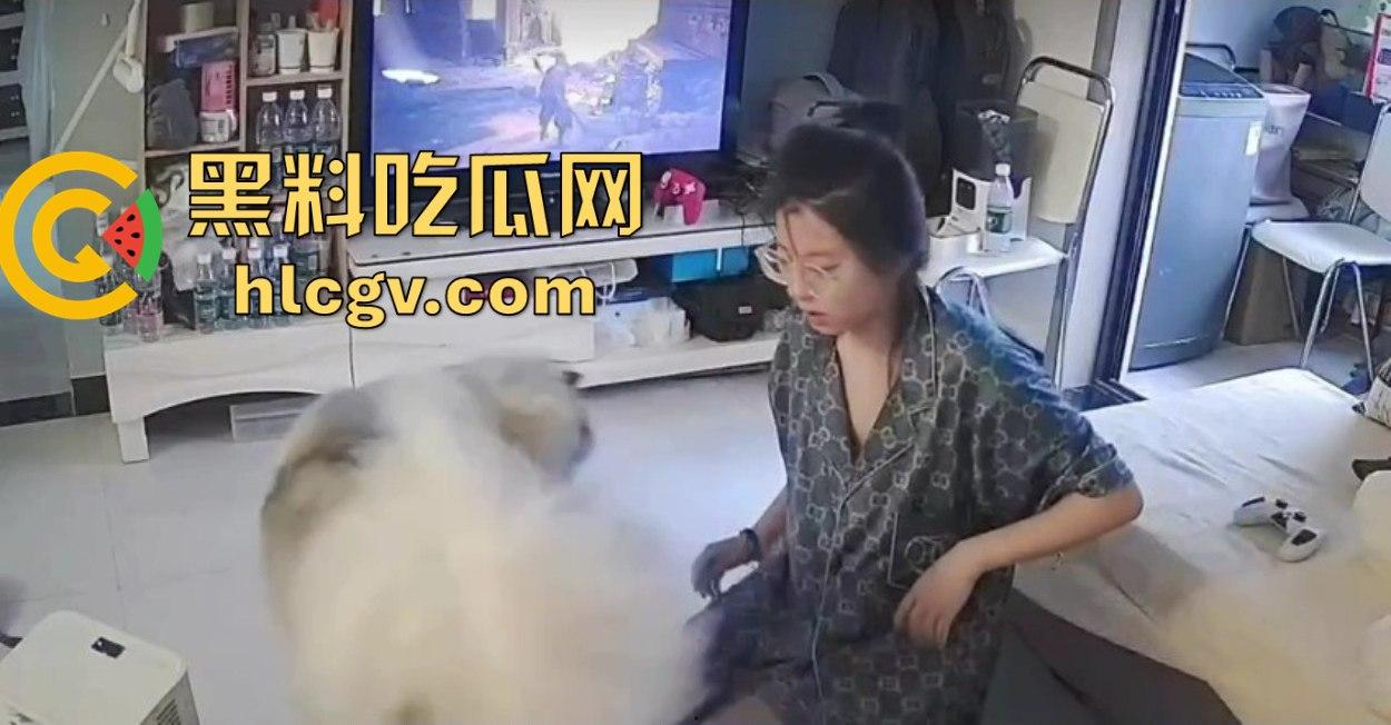 阿拉斯加趁女主人换手柄扑上去玩后入想日逼！妹子挣扎半天脱身，气得直发火！  第3张