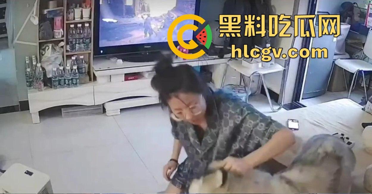 阿拉斯加趁女主人换手柄扑上去玩后入想日逼！妹子挣扎半天脱身，气得直发火！  第4张