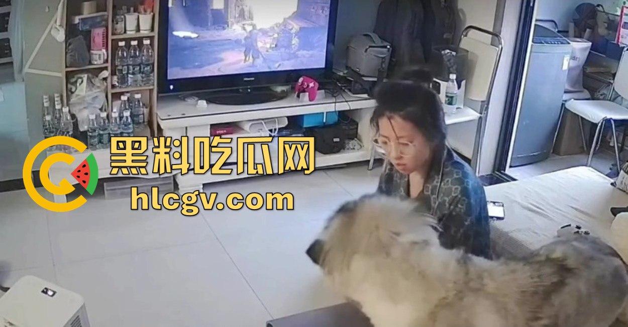 阿拉斯加趁女主人换手柄扑上去玩后入想日逼！妹子挣扎半天脱身，气得直发火！  第8张