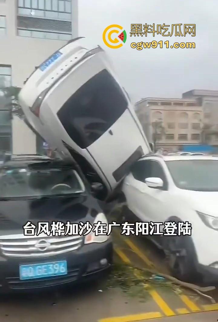 最强的超级台风【桦加沙】登陆阳江后的真实状况，到处都是被吹到的树玻璃，人类在大自然面前是多么渺小啊！  第2张