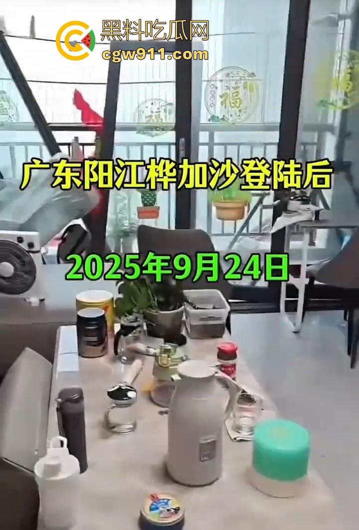 最强的超级台风【桦加沙】登陆阳江后的真实状况，到处都是被吹到的树玻璃，人类在大自然面前是多么渺小啊！  第3张