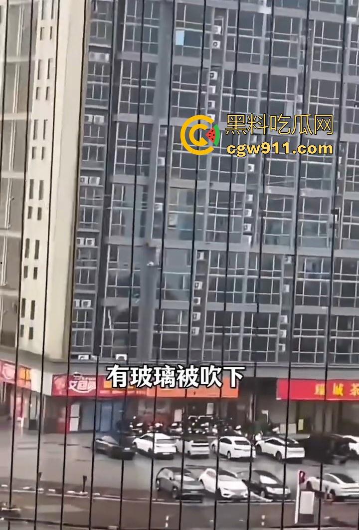 最强的超级台风【桦加沙】登陆阳江后的真实状况，到处都是被吹到的树玻璃，人类在大自然面前是多么渺小啊！  第5张