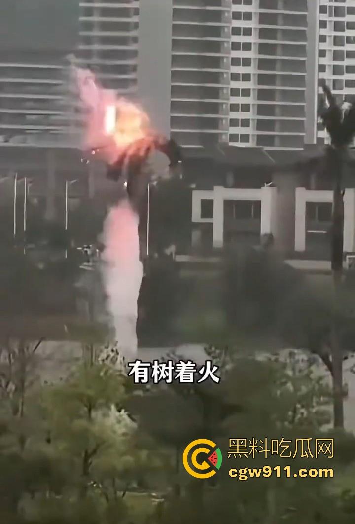 最强的超级台风【桦加沙】登陆阳江后的真实状况，到处都是被吹到的树玻璃，人类在大自然面前是多么渺小啊！  第6张