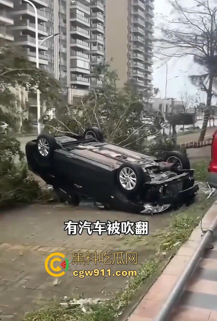 最强的超级台风【桦加沙】登陆阳江后的真实状况，到处都是被吹到的树玻璃，人类在大自然面前是多么渺小啊！  第8张