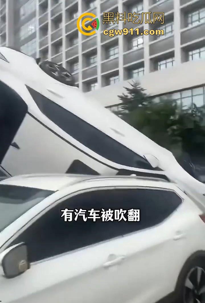 最强的超级台风【桦加沙】登陆阳江后的真实状况，到处都是被吹到的树玻璃，人类在大自然面前是多么渺小啊！  第9张