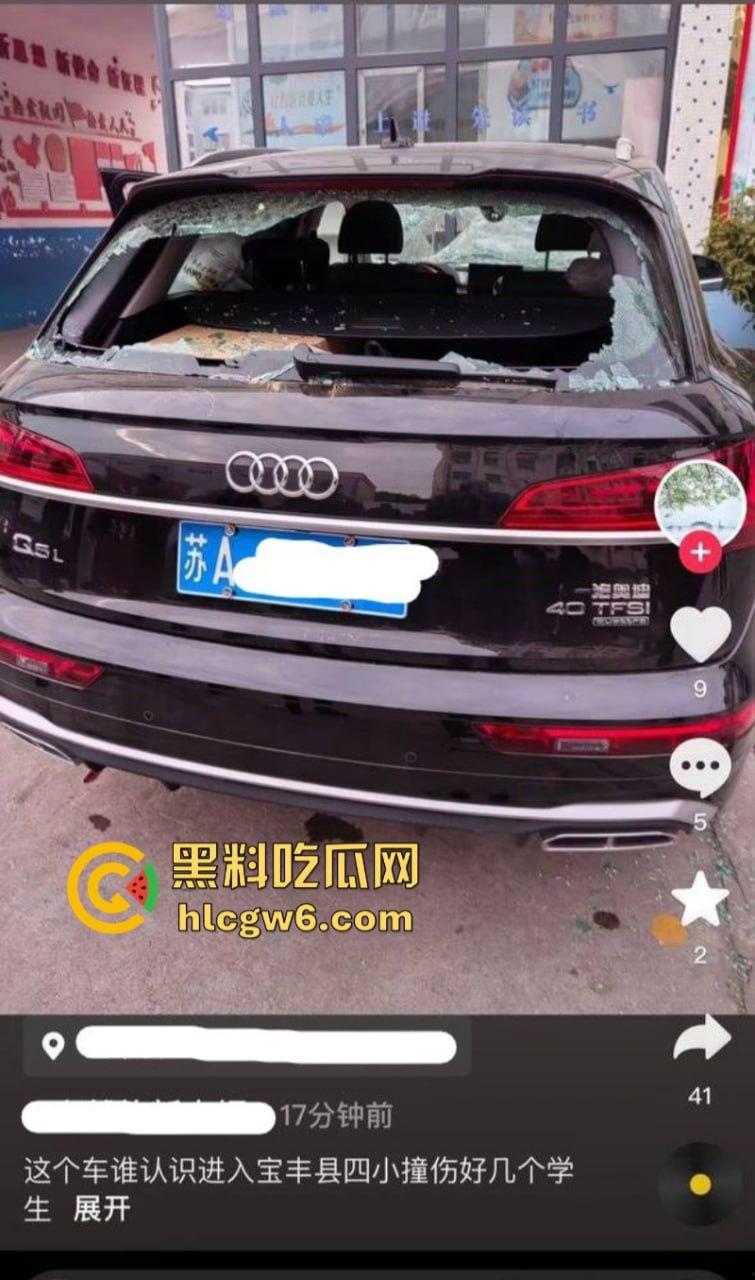 河南平顶山宝丰县奥迪变坦克疯狂碾压路人 四小学校多名学生受伤 家长崩溃场面失控 现场实拍流出  第1张
