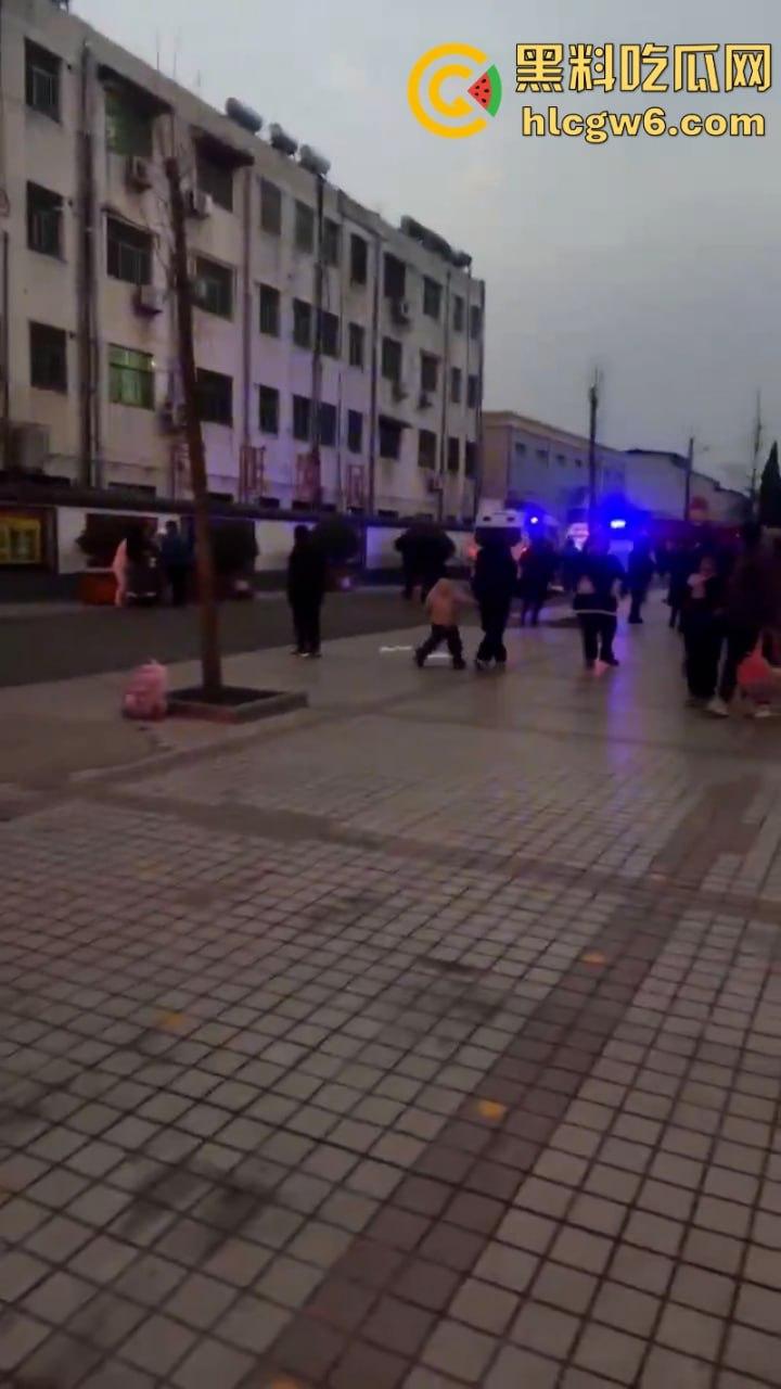 河南平顶山宝丰县奥迪变坦克疯狂碾压路人 四小学校多名学生受伤 家长崩溃场面失控 现场实拍流出  第2张