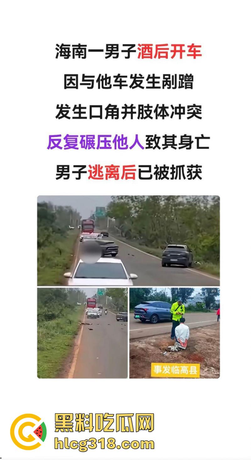 海南猛人路怒杀人，酒驾后与他人发生剐蹭，渴望私了被拒，将其撞倒反复碾压至其死亡！  第1张