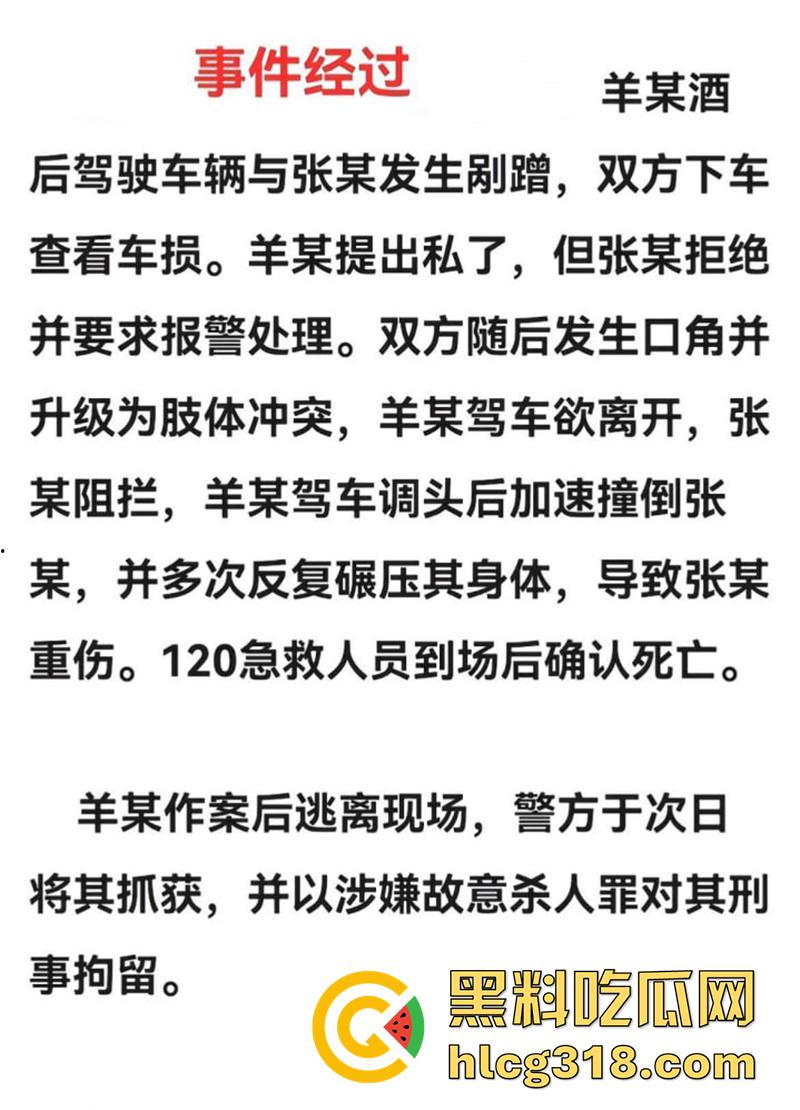海南猛人路怒杀人，酒驾后与他人发生剐蹭，渴望私了被拒，将其撞倒反复碾压至其死亡！  第2张