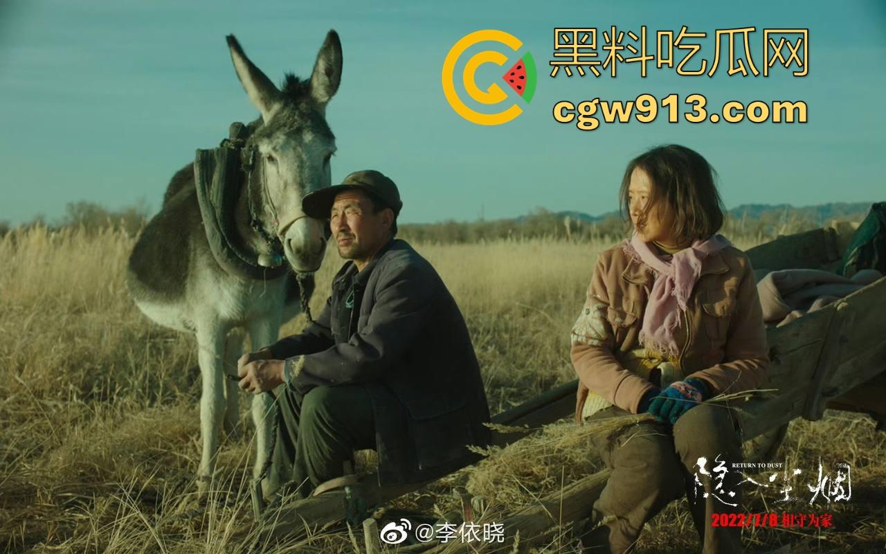 年度高分神剧【隐入尘烟】震撼来袭！后劲很大很感动很写实的国家下架电影，很值得一看！  第7张