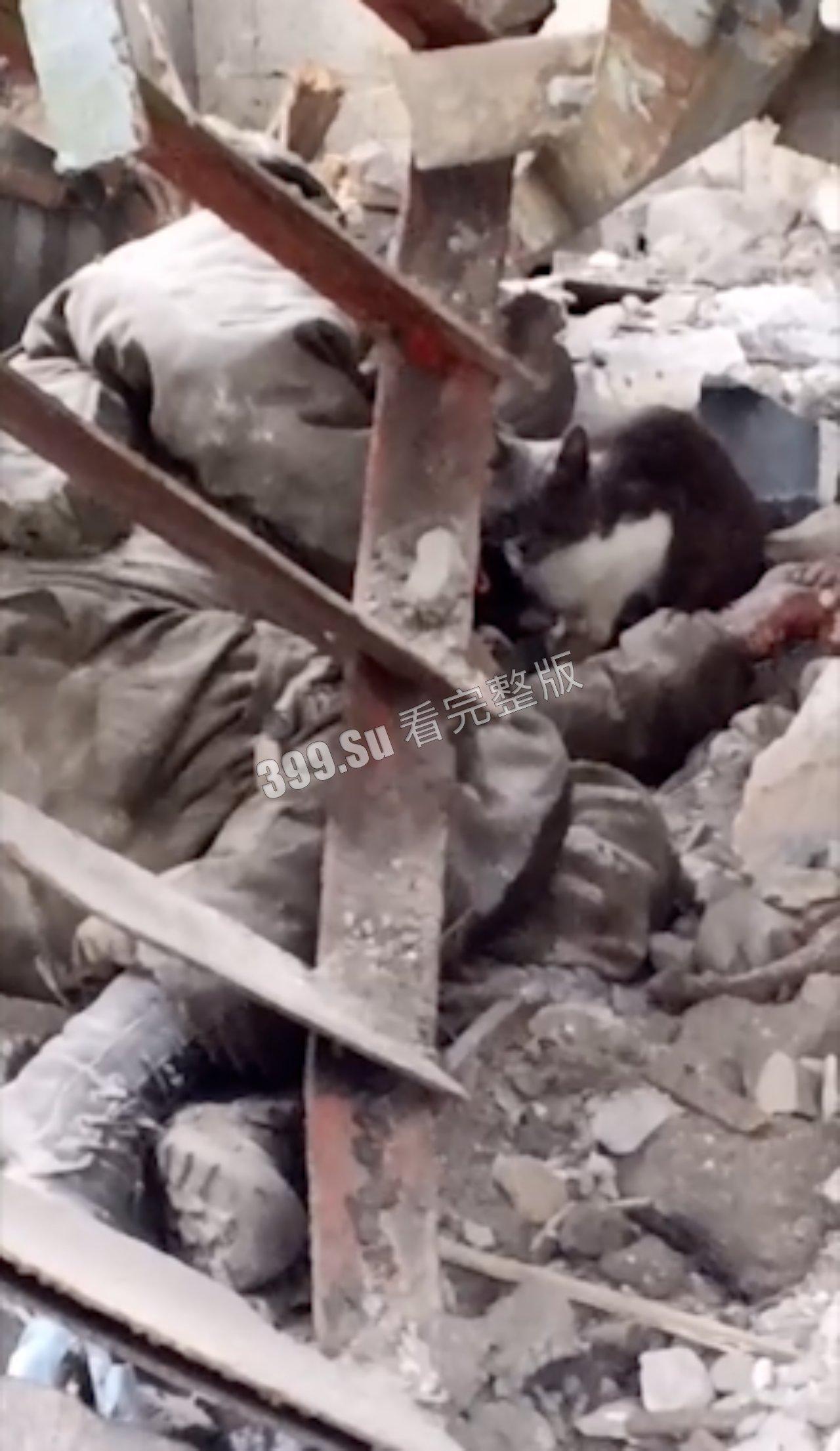 俄乌战争第一视角实录合集  现场只能用惨烈来形容 能留全尸的便算是幸运了 心理承受能力低的瓜友 勿点！！ 第9张