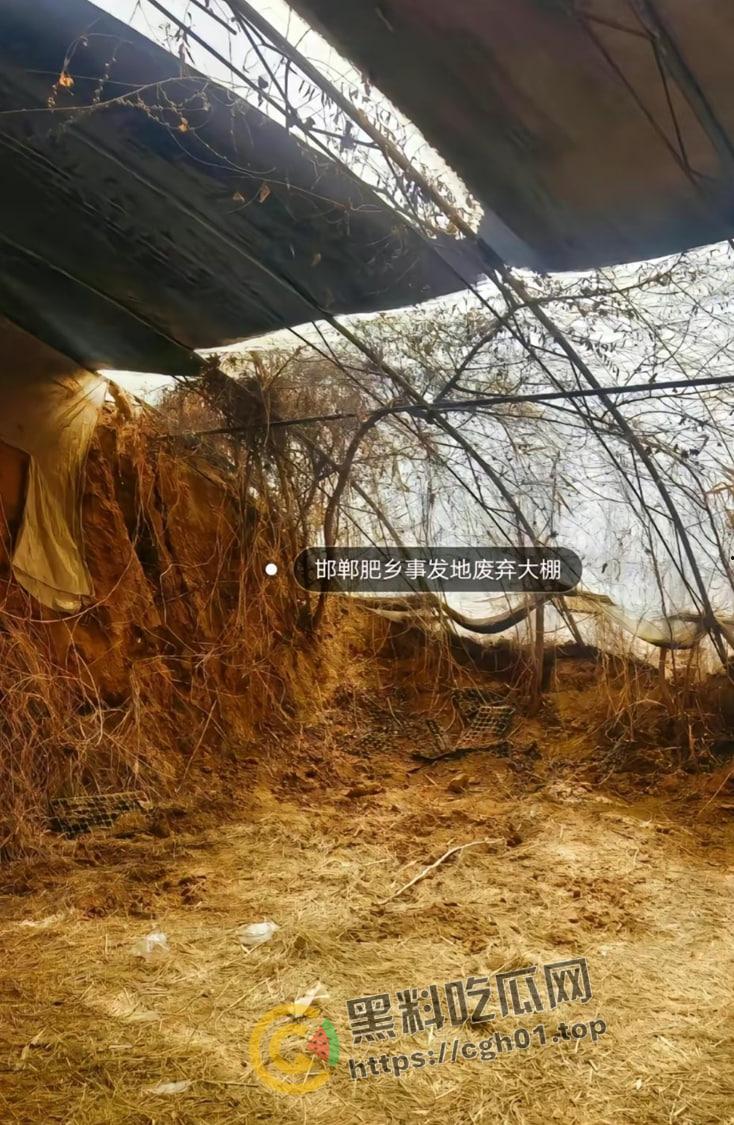 河北邯郸【王子耀】案件后续!相关直播间被封 疑似有家长协助 死者脑部CT流出被打稀烂 疑点重重 第3张 河北邯郸【王子耀】案件后续!相关直播间被封 疑似有家长协助 死者脑部CT流出被打稀烂 疑点重重 第3张