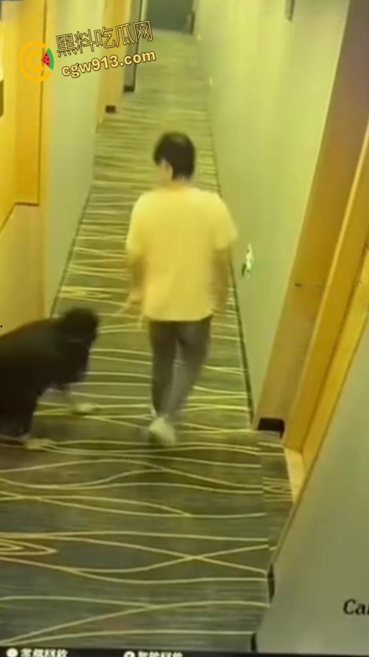 酒店监控拍下吾辈楷模，男子牵狗链，黑群女子像狗爬行，路过群众惊掉下巴，奇葩任务引爆字母圈 !  第2张