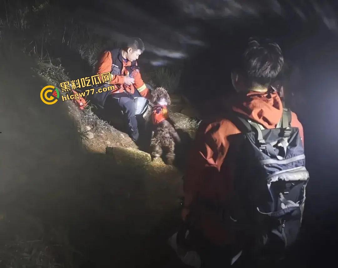 福建8岁男童邹某樽山中失踪,家属崩溃三日未眠,却有人借机发恐吓勒索短信孩子没找到,人性已经先烂透了! 第16张 福建8岁男童邹某樽山中失踪,家属崩溃三日未眠,却有人借机发恐吓勒索短信孩子没找到,人性已经先烂透了! 第16张