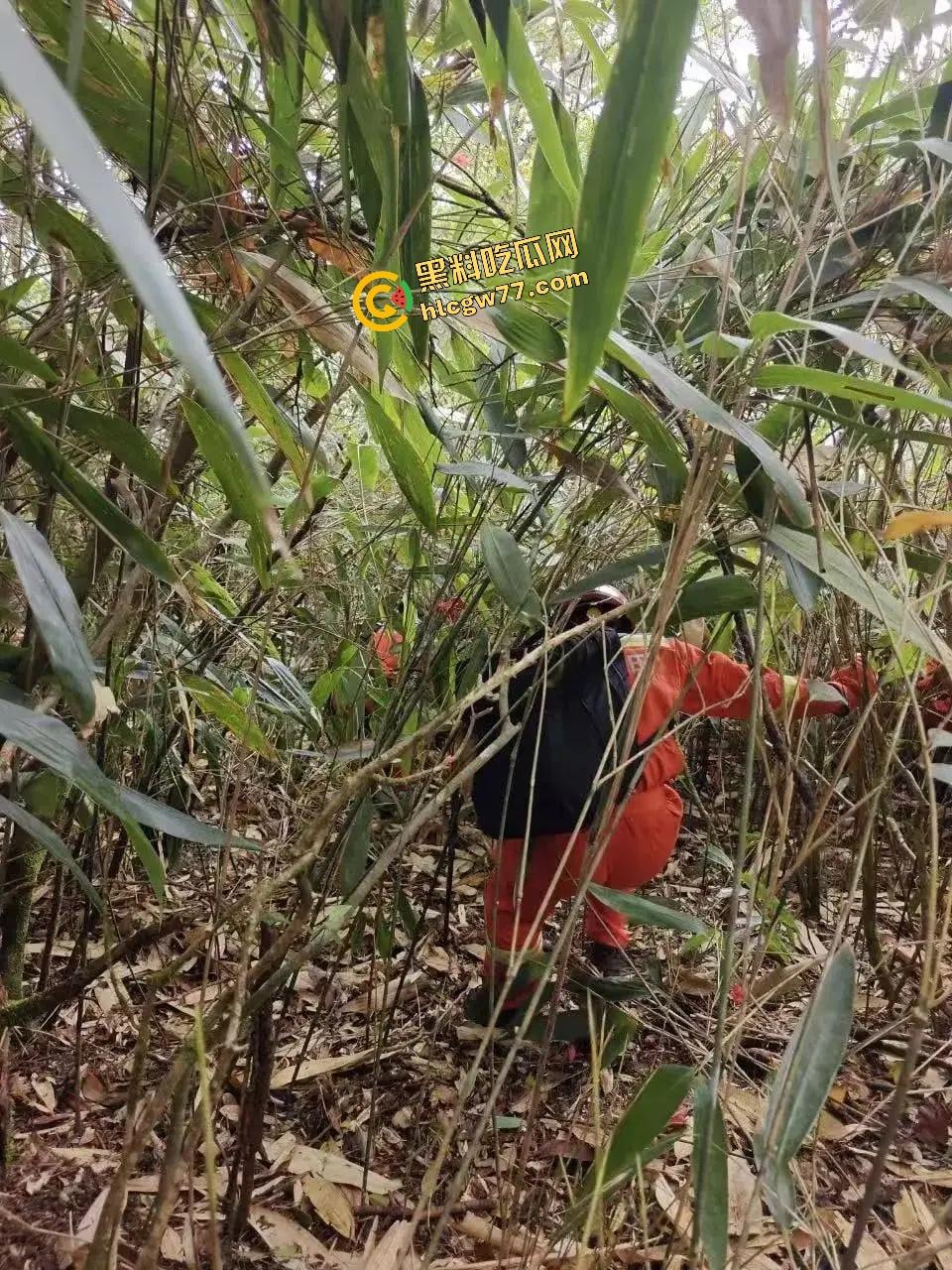 福建8岁男童邹某樽山中失踪,家属崩溃三日未眠,却有人借机发恐吓勒索短信孩子没找到,人性已经先烂透了! 第17张 福建8岁男童邹某樽山中失踪,家属崩溃三日未眠,却有人借机发恐吓勒索短信孩子没找到,人性已经先烂透了! 第17张