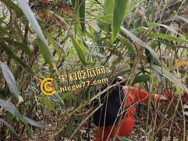 福建8岁男童邹某樽山中失踪,家属崩溃三日未眠,却有人借机发恐吓勒索短信孩子没找到,人性已经先烂透了! 第22张 福建8岁男童邹某樽山中失踪,家属崩溃三日未眠,却有人借机发恐吓勒索短信孩子没找到,人性已经先烂透了! 第22张