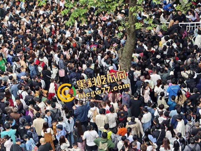 福建8岁男童邹某樽山中失踪,家属崩溃三日未眠,却有人借机发恐吓勒索短信孩子没找到,人性已经先烂透了! 第25张 福建8岁男童邹某樽山中失踪,家属崩溃三日未眠,却有人借机发恐吓勒索短信孩子没找到,人性已经先烂透了! 第25张