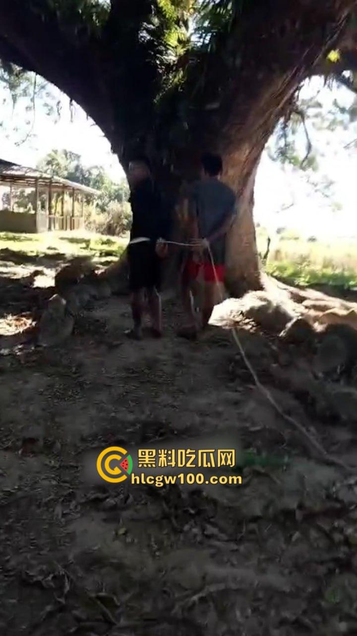 以色列与巴勒斯坦伊斯兰抵抗运动就加沙停火协议！双方又达成新的停火协议  第3张