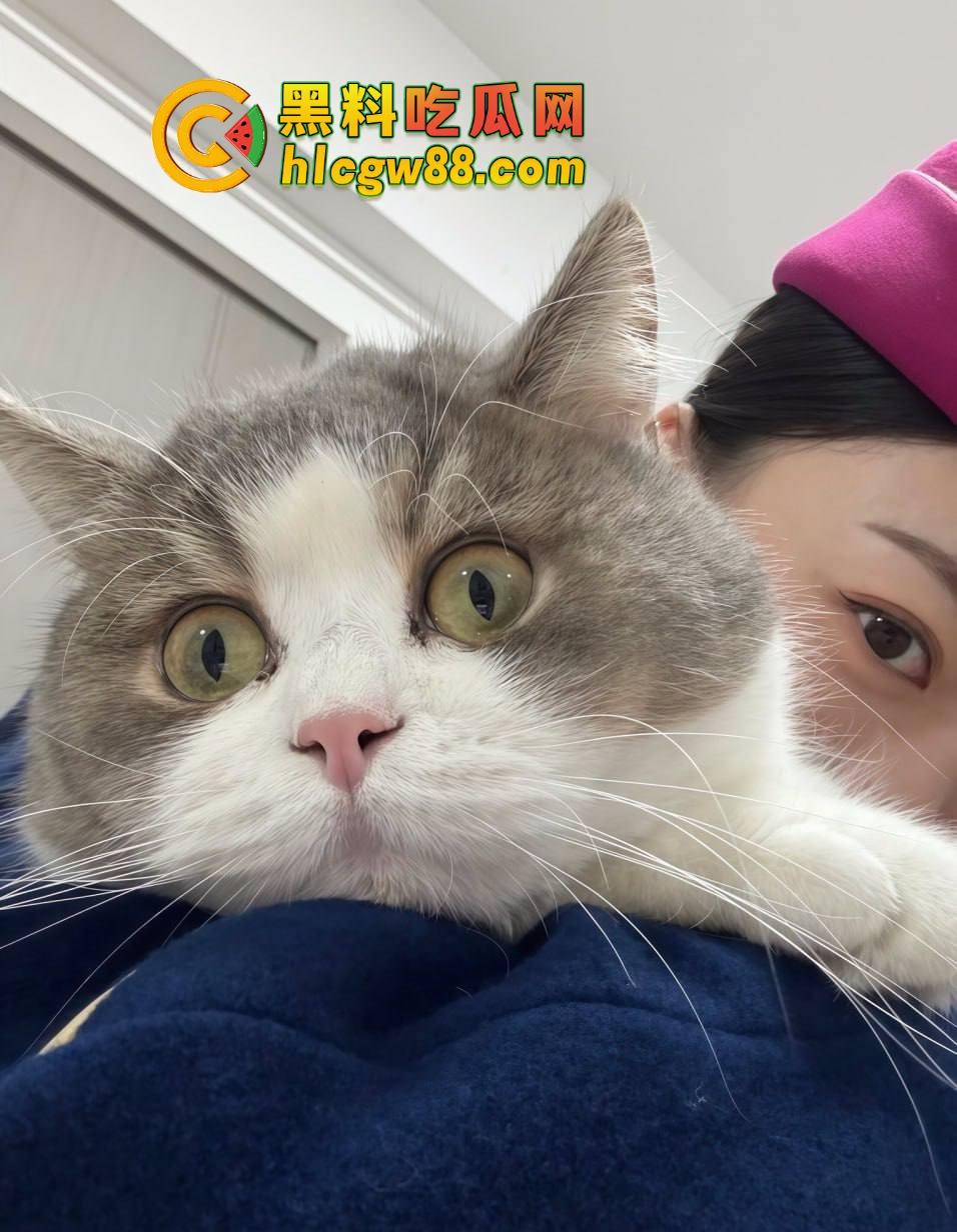 南航空姐『李梅』被大佬调教成空中性奴，飞行前真空服务顾客，航程中厕所抠逼自慰，下机还要穿制服接着干！  第17张