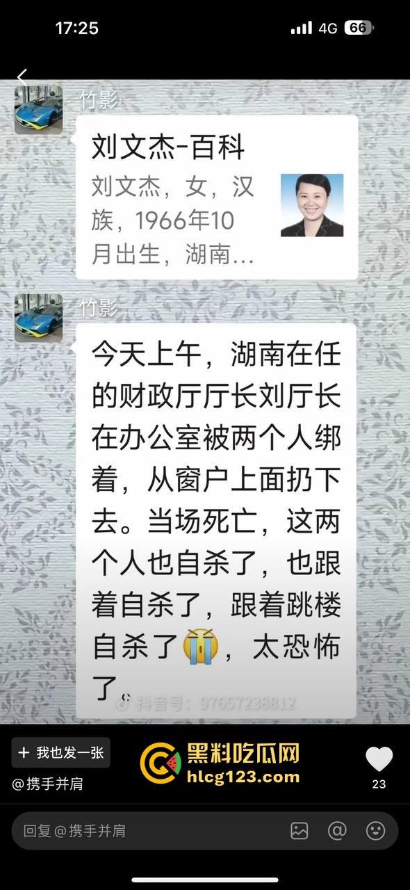 湖南财政厅长刘文杰离奇坠楼死亡！政协委员涉案，新闻被迅速封杀，真相成谜！  第8张