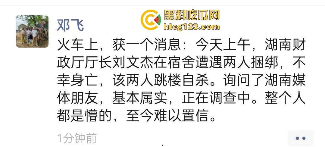 湖南财政厅长刘文杰离奇坠楼死亡！政协委员涉案，新闻被迅速封杀，真相成谜！  第12张