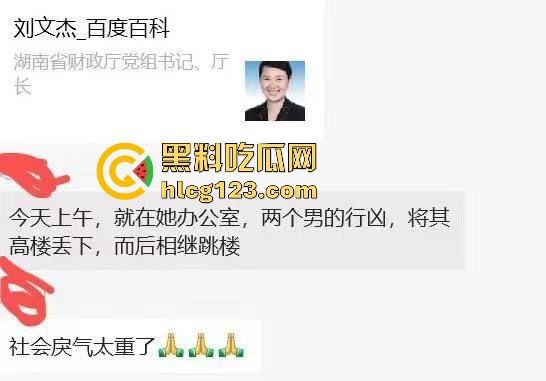 湖南财政厅长刘文杰离奇坠楼死亡！政协委员涉案，新闻被迅速封杀，真相成谜！  第20张