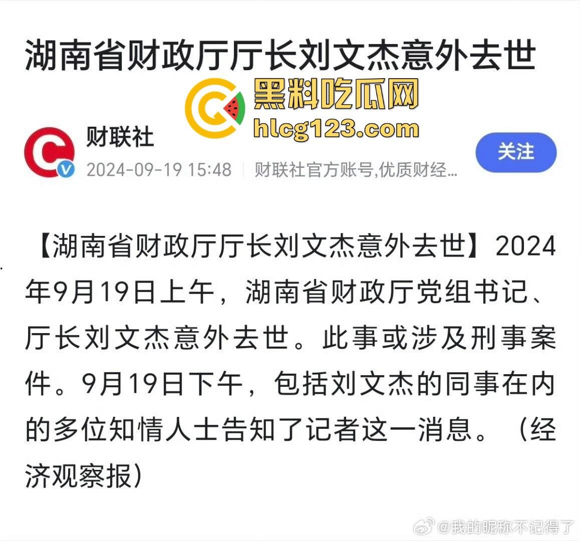 湖南财政厅长刘文杰离奇坠楼死亡！政协委员涉案，新闻被迅速封杀，真相成谜！  第21张