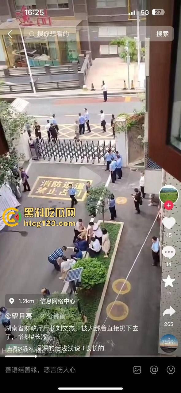 湖南财政厅长刘文杰离奇坠楼死亡！政协委员涉案，新闻被迅速封杀，真相成谜！  第24张