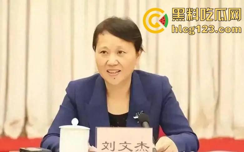 湖南财政厅长刘文杰离奇坠楼死亡！政协委员涉案，新闻被迅速封杀，真相成谜！  第29张