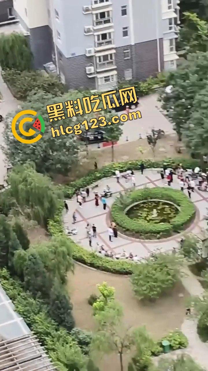 结婚当天邻居跳楼，喜事变悲剧，新人如何处理这场突如其来的困境？  第1张